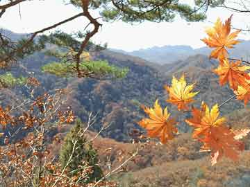 首度獨(dú)寵新娘，變化中的學(xué)習(xí)與自信成就之源