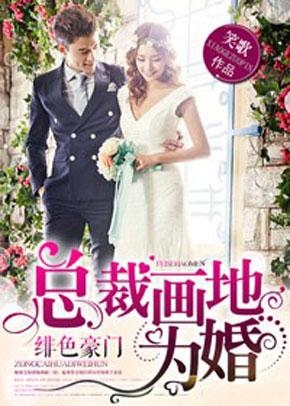 暗婚游戲總裁難訓的日常趣事