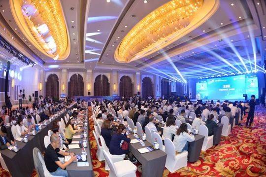 悠悠資源網最新網站，帶你暢游知識海洋的門戶