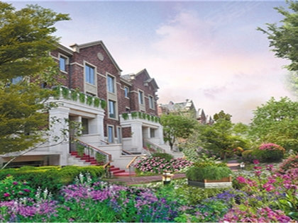 英倫花園游戲最新動(dòng)態(tài)，變化中的學(xué)習(xí)之旅，自信與成就感的培育地